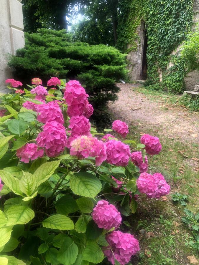 Bed and Breakfast Demeure Des Payratons Saint-Gerand-le-Puy Exterior foto
